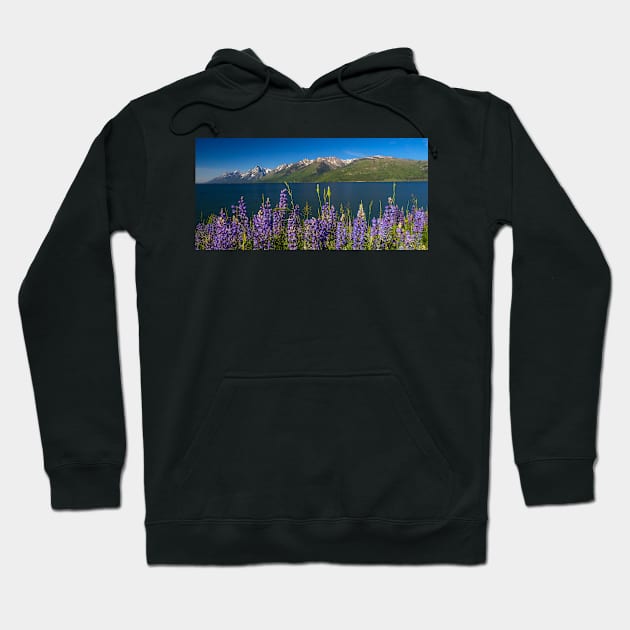 Blue Summer at Jackson Lake Hoodie by algill